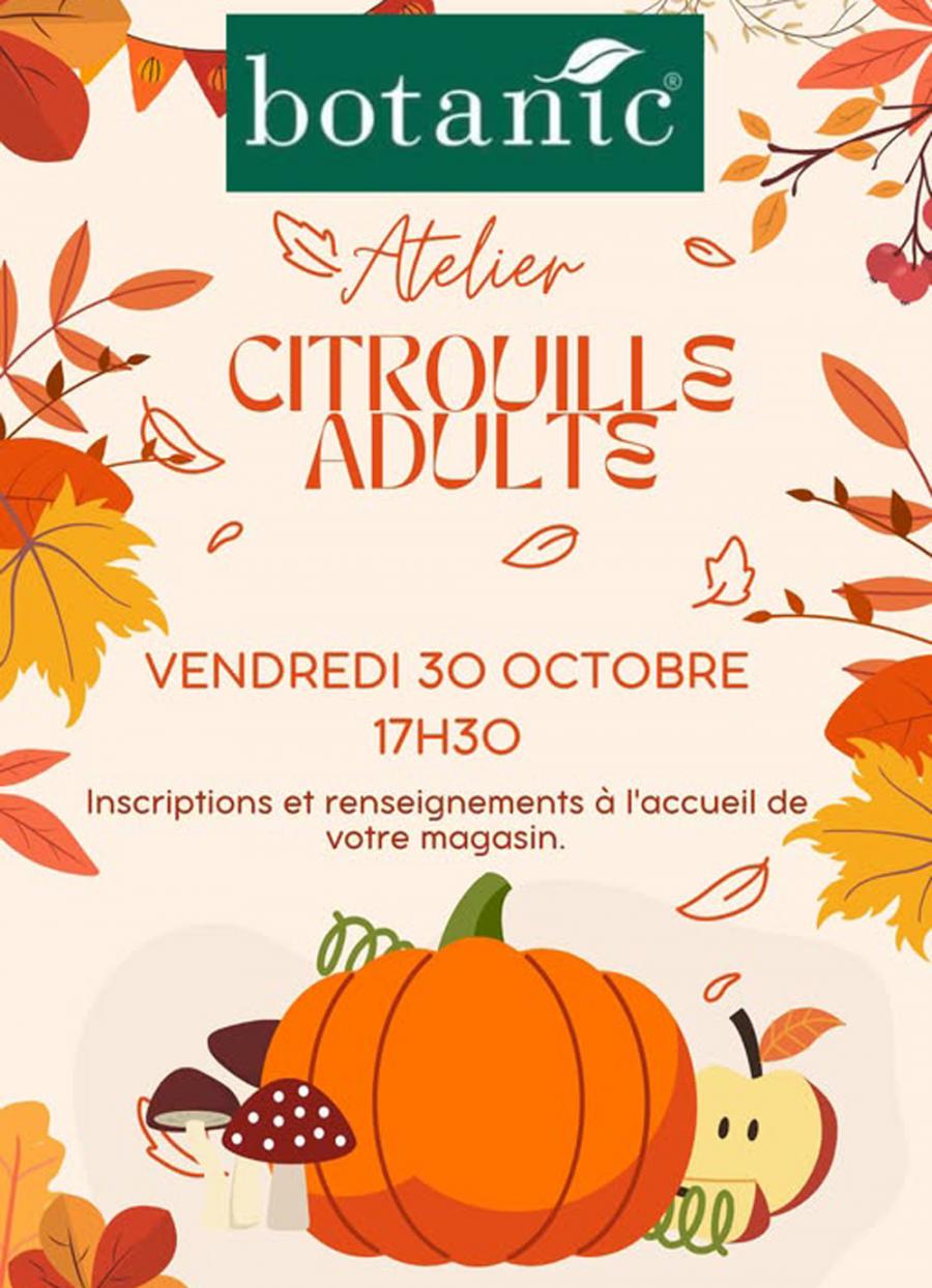 Atelier citrouille à Poulainville