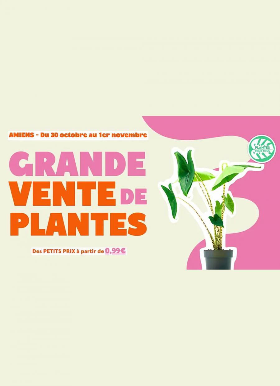Grande vente de plantes